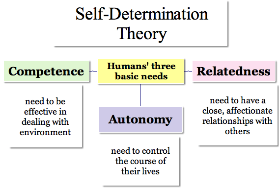 Self determination essay